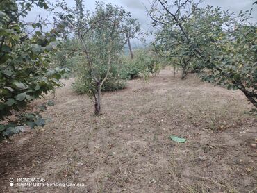 Həyət evləri və villaların satışı: Obyekt: Həyət evi Təsvir:Gözel tebiet panaraması var. Temiz dağ -da lalafo.az — 8 Həyət evləri və villaların satışı: Obyekt: Həyət evi Təsvir:Gözel tebiet panaraması var. Temiz dağ — 8