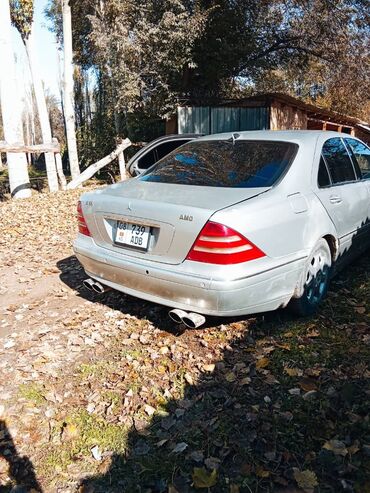 Mercedes-Benz: Mercedes-Benz 220: 1999 г., 5 л, Автомат, Бензин, Седан