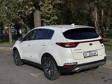 1: Kia Sportage: 2019 г., 1.6 л, Автомат, Дизель, Кроссовер — 6