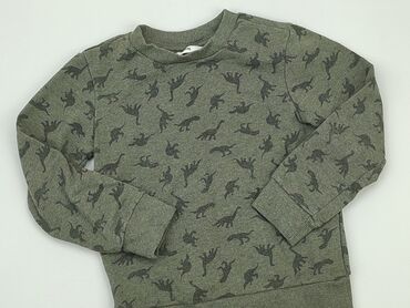 sweterek z koszulą: Світшот, SinSay, 5-6 р., 110-116 см, стан - Хороший