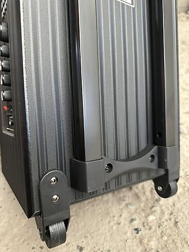se electronics: Портативная аккумуляторная акустическая система SSRJ SS-3101 Основные — 3