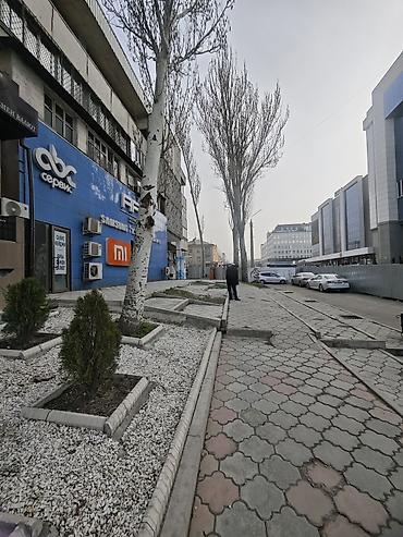 Аренда офисов: Сдаётся офис в самом центре Бишкека! 📍 Напротив ЦУМа-2 📍 ул. Шопокова at lalafo.kg — 2 Аренда офисов: Сдаётся офис в самом центре Бишкека! 📍 Напротив ЦУМа-2 📍 ул. Шопокова — 2
