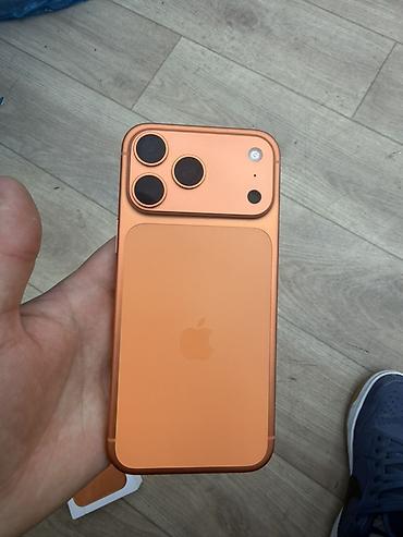ipad 9 7: IPhone 17 Pro Max, 256 ГБ, оранжевый - Экран с вырезом Dynamic — 6