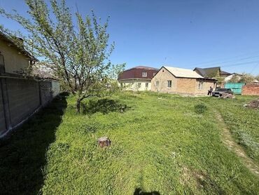 иссыкуль аренда: 8 соток, Бизнес үчүн, Кызыл китеп
