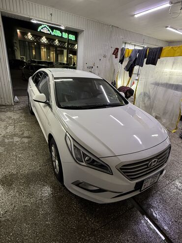 краска машина: Hyundai Sonata: 2018 г., 2 л, Автомат, Газ, Седан