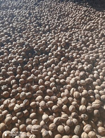 1 list paxlava qiymeti: Qarışığ qozdu çox hissəsi nazig qabığdı isdiyən buyursun