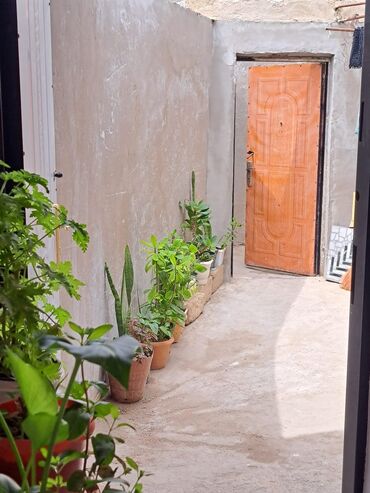 Həyət evləri və villaların satışı: Binəqədi qəs. 2 otaqlı, 55 kv. m, Kredit yoxdur, Yeni təmirli — 9