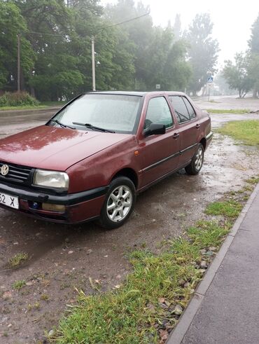 венто 1993: Volkswagen Vento: 1993 г., 1.6 л, Механика, Бензин, Седан