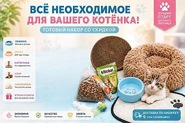 Готовый набор «Всё необходимое для вашего котёнка» Состав: - Лежанка