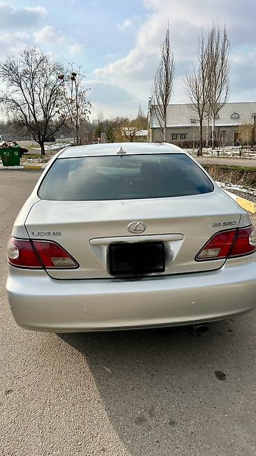 сетки на авто: Lexus ES: 2004 г., 3.3 л, Автомат, Газ, Седан — 4