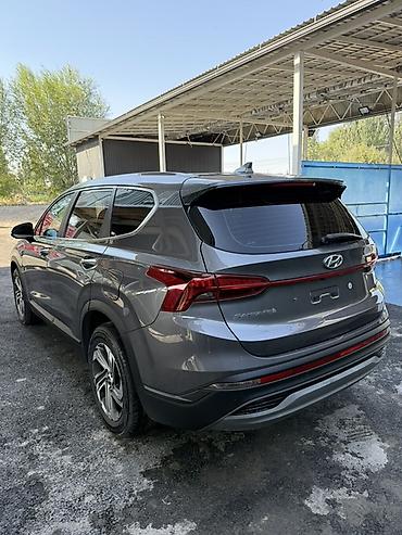 зеркала 2: Hyundai Santa Fe: 2022 г., 2.2 л, Автомат, Дизель, Кроссовер — 6