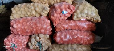 цены на овощи в бишкеке 2019: Картошка