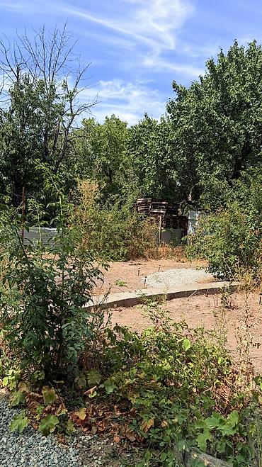Продажа дачи: Продается дача в Пск Горное Участок 4 сотки, жилой дом Свет, поливная — 8