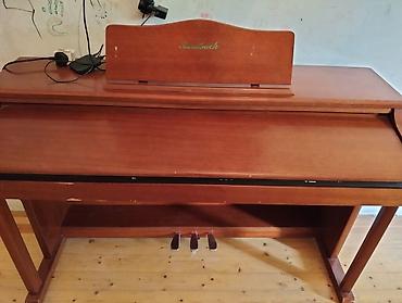 Клавишные инструменты: Steinbach rəqəmsal piano – klassik mebel korpusu ilə - Marka/model — 8