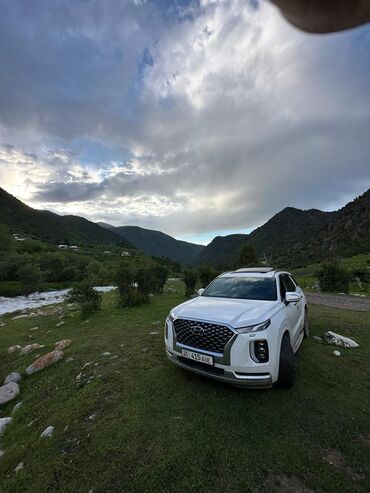 самая деловая машина: Hyundai Palisade: 2021 г., 2.2 л, Автомат, Дизель, Внедорожник