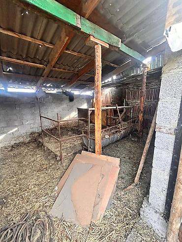 Продажа коттеджей и домов: 📌В Беловодское продается дом из 4-х комнат на участке 6 соток. ▪️В — 12