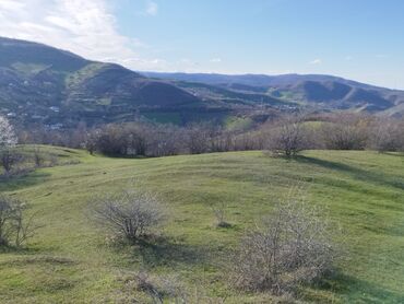 bişkekdə sahə: 67 sot, Kənd təsərrüfatı, Maklerlər narahat etməsin, Kupça (Çıxarış)