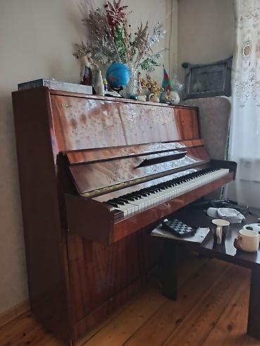 belarus 892: Akkustik piano – “Belarus” upright model - Korpus: parlaq taxta (maun — 4