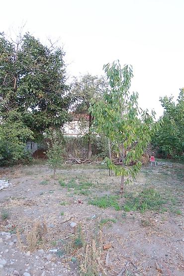Продажа коттеджей и домов: 3 комнаты, 96 м², 7 соток, Джал, Риэлтор — 14
