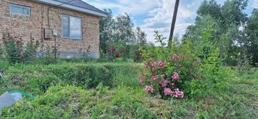 продаю дом ак босого: Продается дейстующий бизнес в сфере экотуризма: 🌳 фруктовый сад(уже