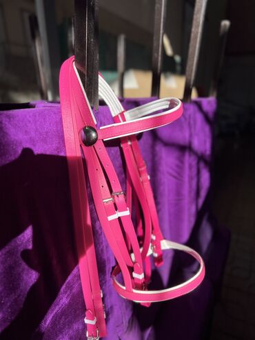 волнистый попугай: К продаже предлогается уздечка из биотана, новая, цвет розово-красный