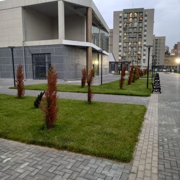 фотостудия советская квартира: Yeni tikili kompleksində 1 otaqlı studio tipli mənzil. - Geniş işıqlı