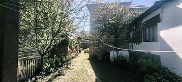 gence arenda: QƏBƏLƏDƏ KUPÇALI TORPAQ VƏ 2 EV SATILIR! 🏡 Qəbələ rayon mərkəzində — 9