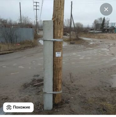 домашние яйца: Столб 2000 сом