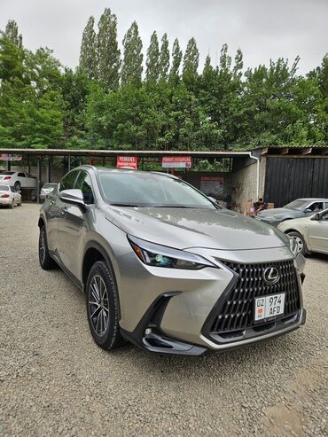570 лексус цена: Lexus NX в серебристом цвете. Этот компактный кроссовер сочетает в