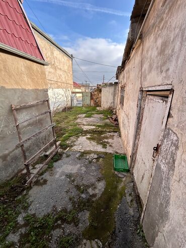 Torpaq sahələrinin satışı: 3500 sot, Kənd təsərrüfatı, Mülkiyyətçi, Bələdiyyə — 6