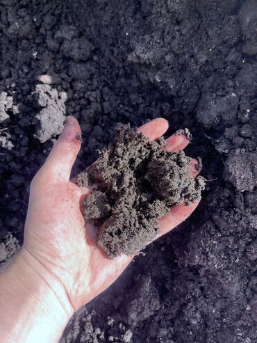 Перегной, навоз: В тоннах, Портер, Зил, Камаз — 2