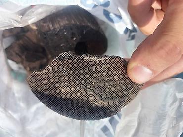 Другие автозапчасти: Катализатор сатып алабыз,эн кымбат баада катализатор, Куплю — 12