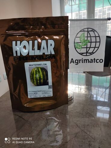 Зерновые культуры: Семена арбуза Кримсон свит от компании Hollar seeds. Срок созревания