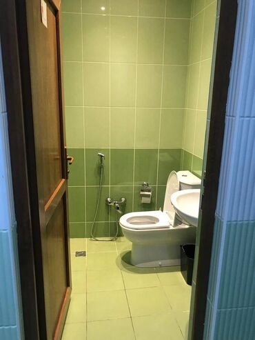 Ofislər: Gənclik metrosuna yaxın yol kənarı ümumi sahəsi 220 kv,m olan — 15