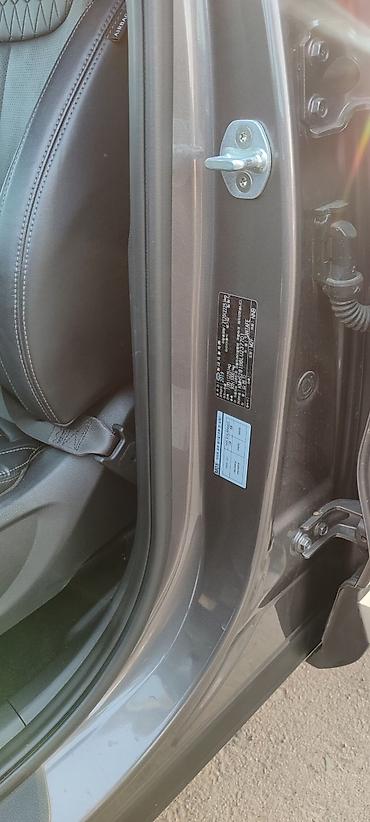 Hyundai: Hyundai Santa Fe: 2019 г., 2 л, Автомат, Дизель, Кроссовер — 17