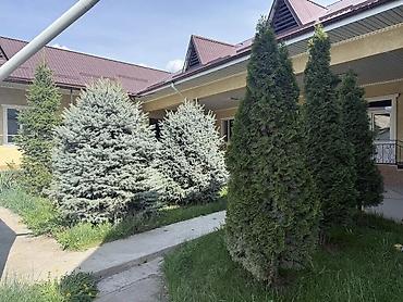 продаю дом дордой 1: 100 м², 5 комнат, Дордой рынок / базар, Без животных — 9