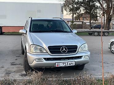 cl class: Mercedes-Benz ML-Class: 2003 г., 2.7 л, Автомат, Дизель, Кроссовер — 5