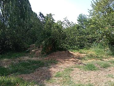 Продажа участков: 23 соток, Для строительства, Красная книга — 12