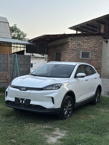 зарядное устройство для электромобиля: Weltmeister EX5, 2020 г., 95000 км, Передний, В наличии