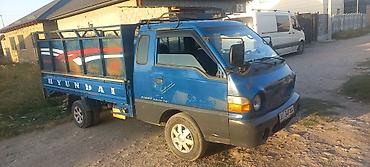 porter: Hyundai Porter грузовой бортовой автопикап (двухдверная кабина) — 1