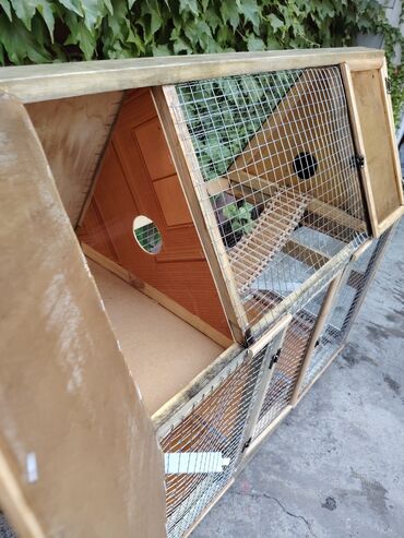 Qəfəslər: ✨ “Qəfəs Craft” – Sevimli heyvanlarınız üçün əl işi qəfəs və yuvalar — 8