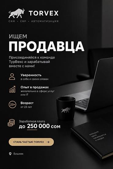 робота талас: TORVEX ищет менеджера по продажам! Ищем уверенного в себе человека — 1