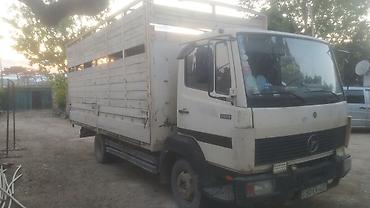 255 35 19: Mercedes-Benz 1996 il, motor 3.9 l, Bort, İşlənmiş — 8