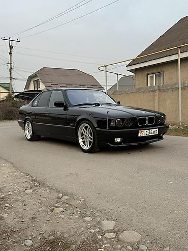 BMW: BMW 5 series: 1994 г., 2.5 л, Механика — 4