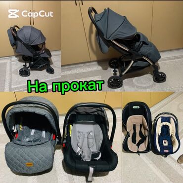 у себя дома: Балдар арабасы