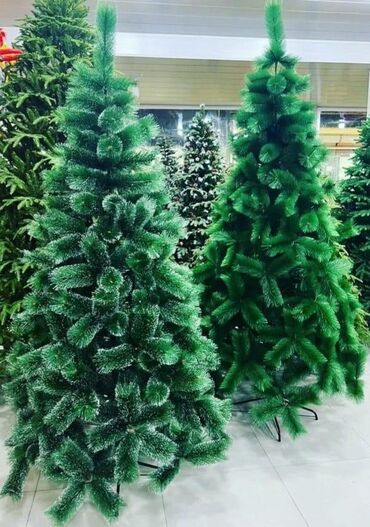 Yeni il ağacları: Yolka satisi teze mallar Endirimde 90 sm-19 man 120 sm-35man 150 — 2