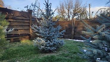 Продажа дач: Продается дача, 5 сот. 1 эт + мансарда, немецкий хороший дом — 30