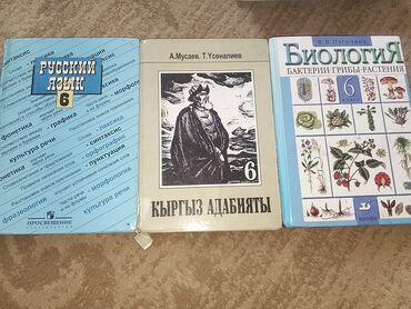 Русский язык и литература: Русский язык, 6 класс
