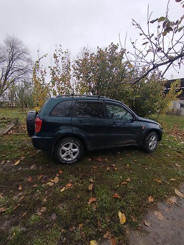 раф газ: Toyota RAV4: 2001 г., 2 л, Автомат, Бензин, Кроссовер — 1