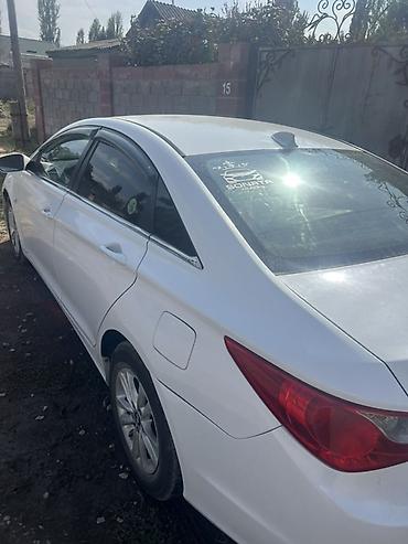 шторка соната: Hyundai Sonata: 2010 г., 2 л, Автомат, Газ, Седан — 1